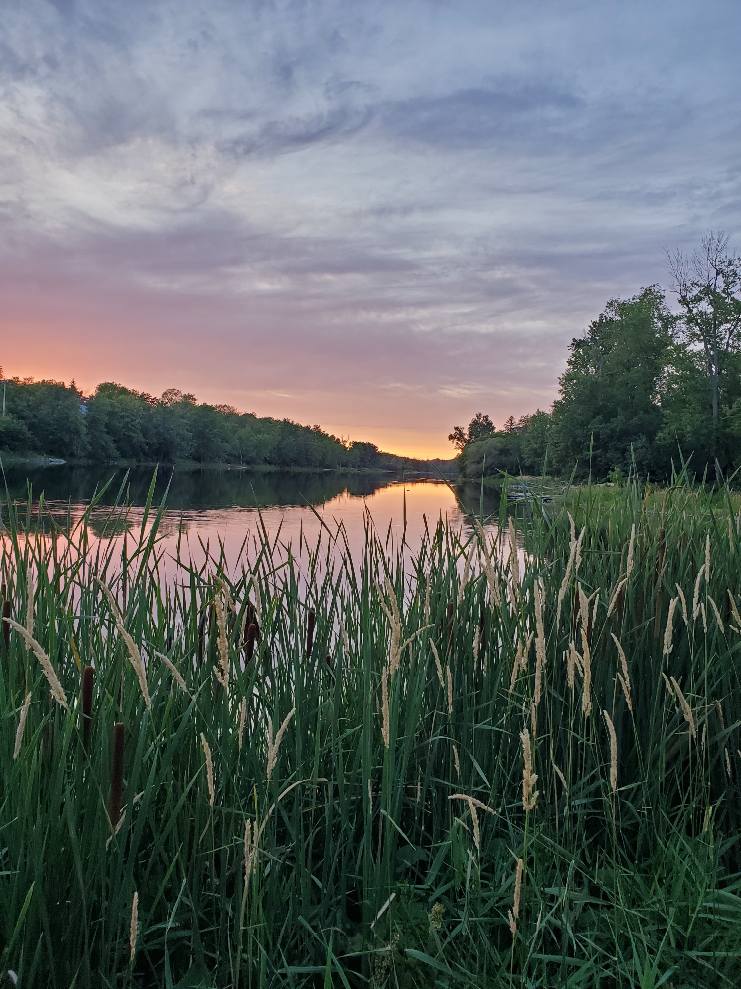 Summer Walk to see Evening Sunset on the Mississippi