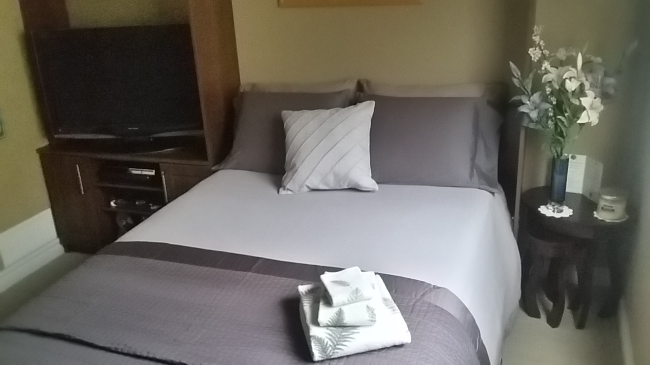 Cozy Comfort Room ...
Murphy Bed down & still room to watch a movie while curled up in comfy chair ...